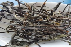 洛神金莲茶